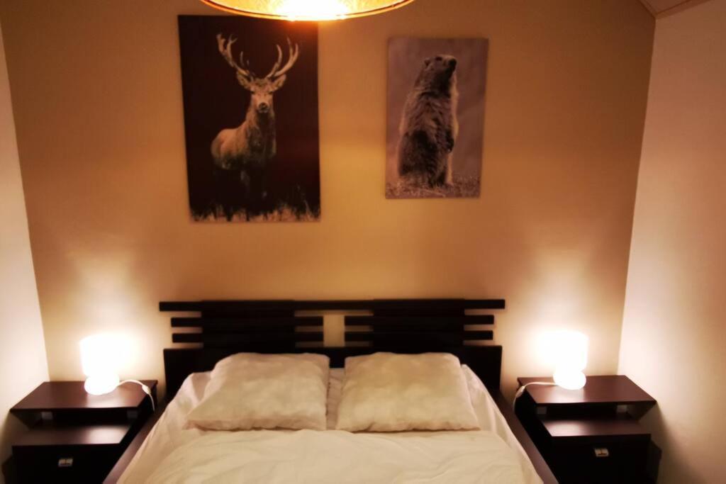 Le Picoulet : Appartement Tout Confort Coeur De Village Allos Luaran gambar